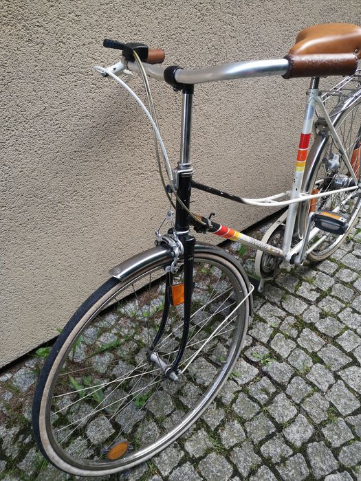 Damka holenderka tanio!