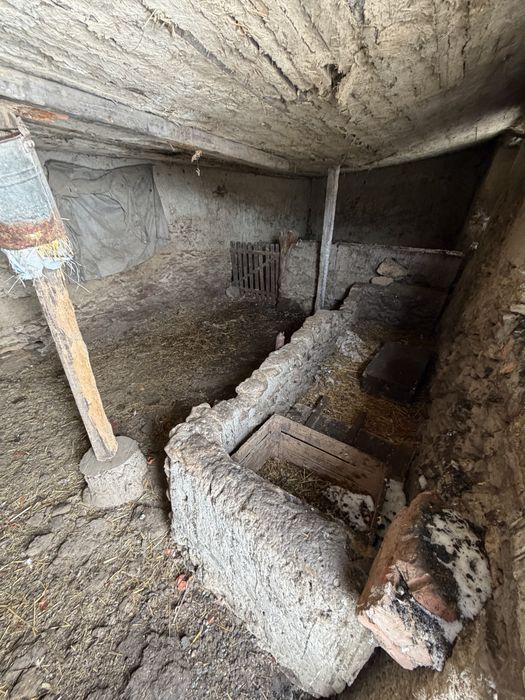 Продаётся дом в селе Белолесье Одесской области.