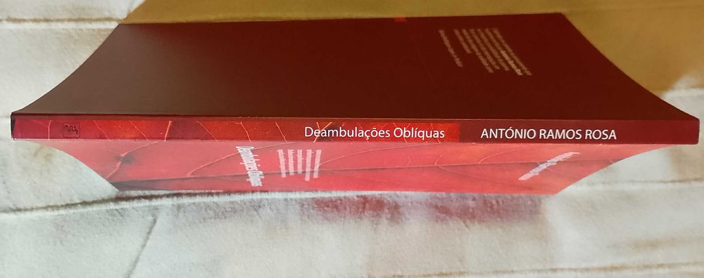 Deambulações Oblíquas, António Ramos Rosa