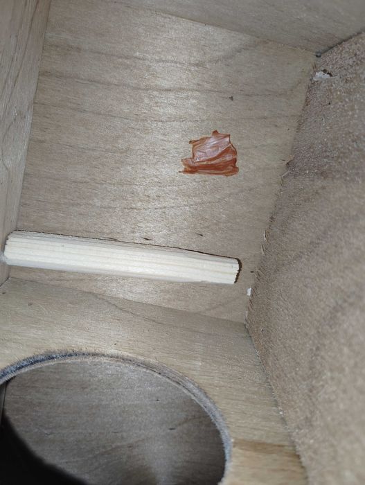 Gaiola de reprodução de pássaro!!!       Estou disposto a negociar!!!