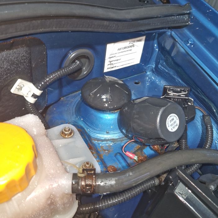 Заз  Віда Zaz Vida