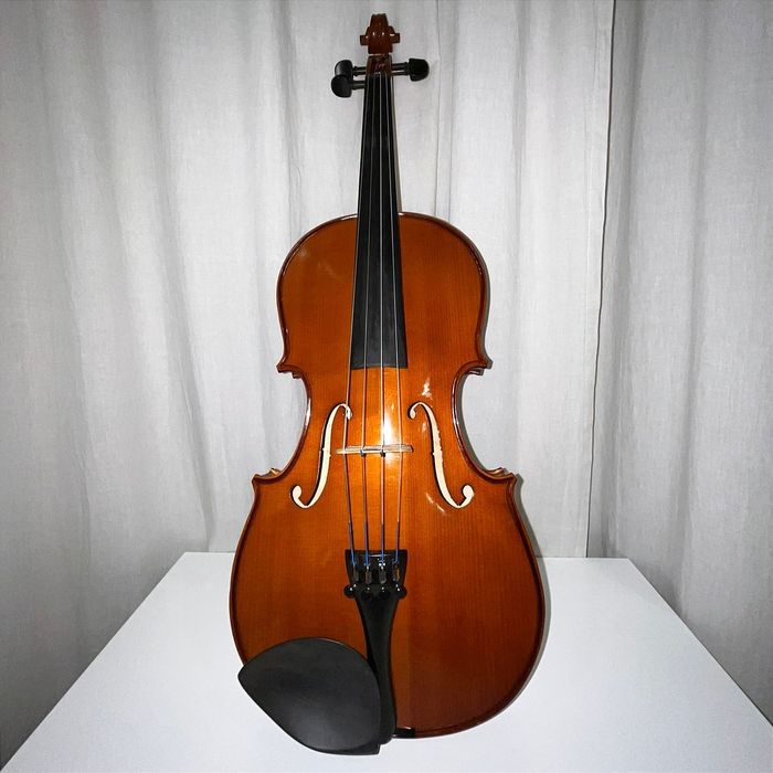 Viola d'Arco Stentor Student 2 Viola