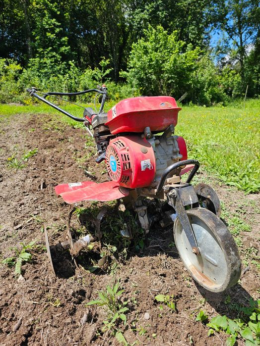 Preparação de terreno com motoenxada / motozappa