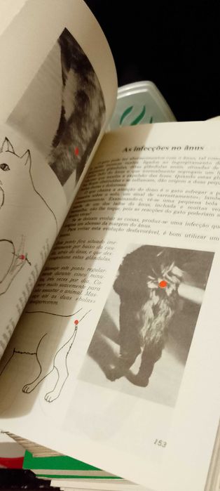 Trate o seu Cão, o seu Gato os seus Pássaros com a simples presssão