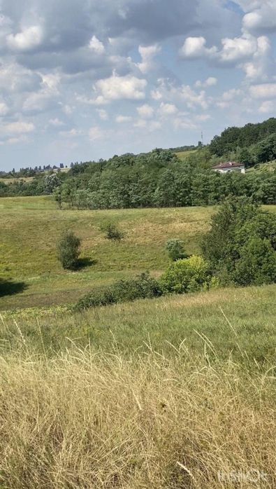 Ділянка 25 соток, с. Деревʼяна, м. Обухів 4 км, м. Київ 30 км - More