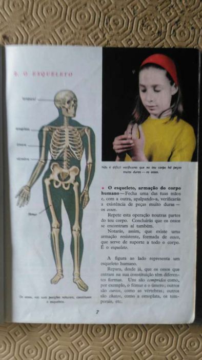 Ciencias da Natureza