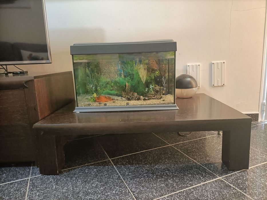 Conjunto móvel sala