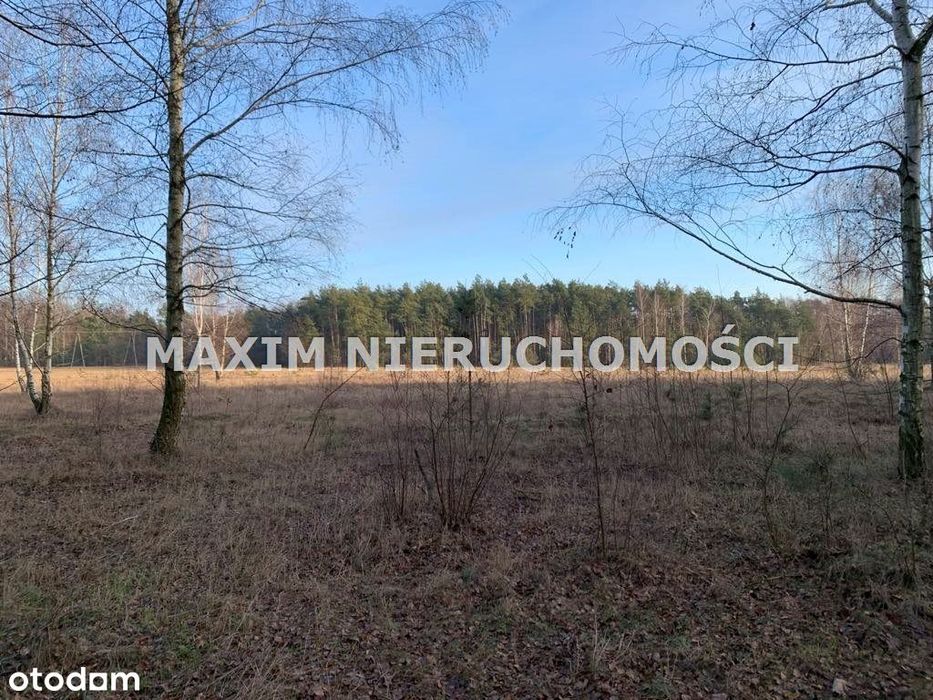 Działki z Wz w Latonicach gm Nowe Miasto - Więcej