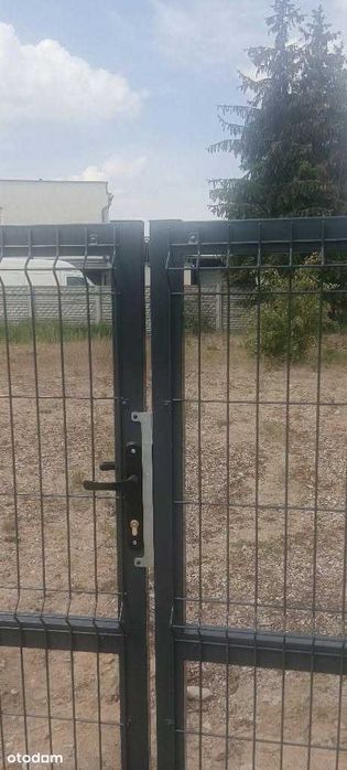 Sprzedam działkę w Skarszewach - Widok 2