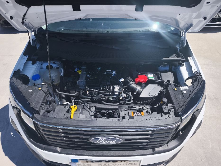 Ford tourneo sinistrado