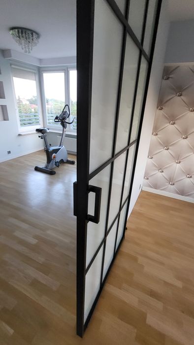 Drzwi szklane naścienne 100/250