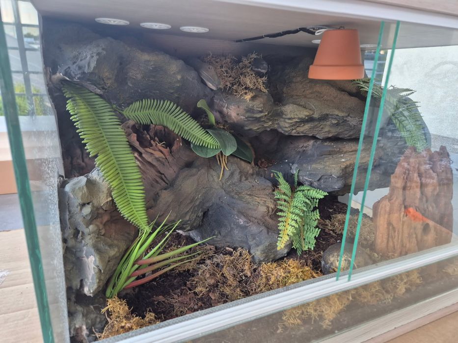 Terrarium z wyposażeniem