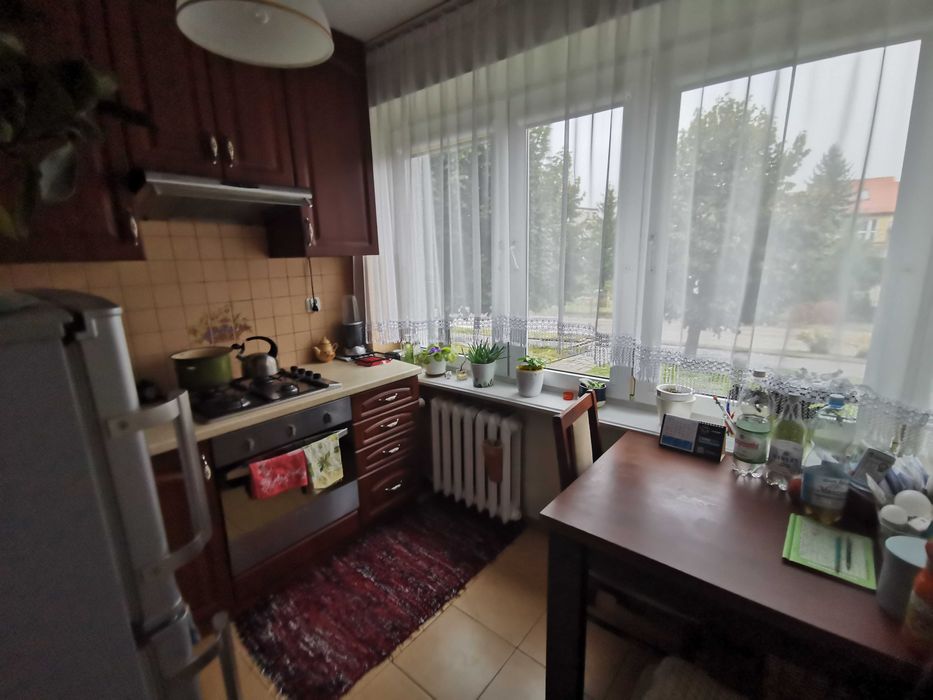 Mieszkanie do wynajęcia - 48,8 m2