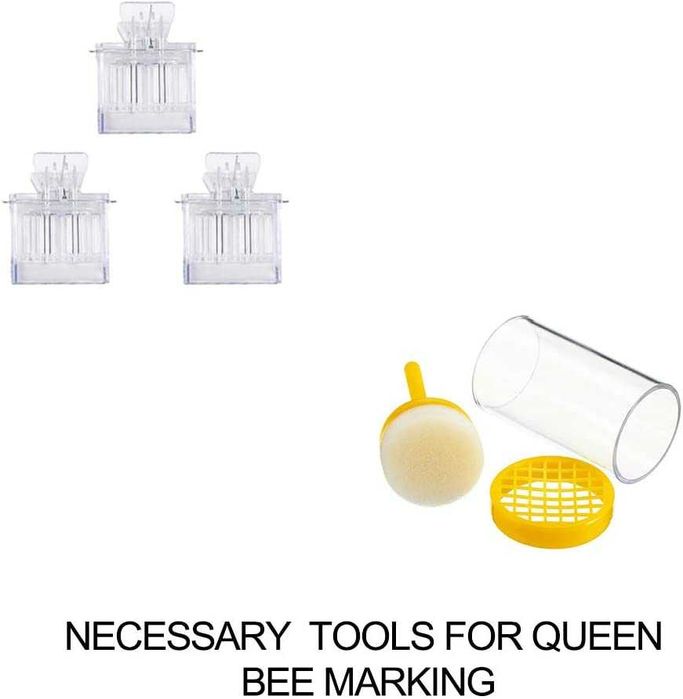 (NOVO) Kit de ferramentas de apicultura