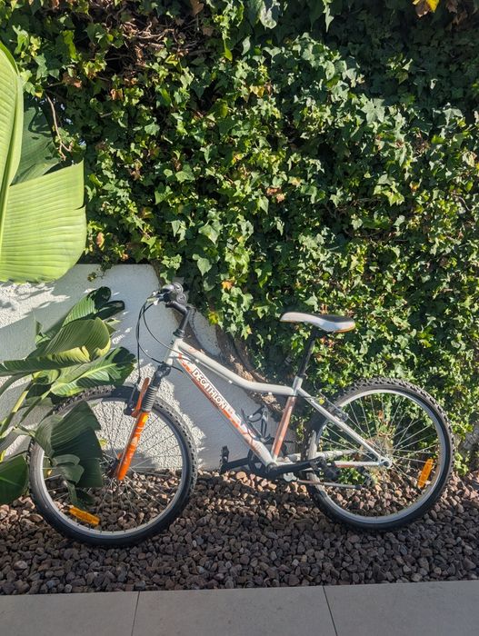 Bicicleta infantil Rockrider 24"