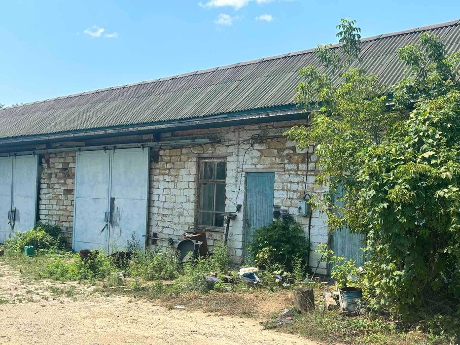 Продам виробниче приміщення (лісопильню) в с.Джурин 5913