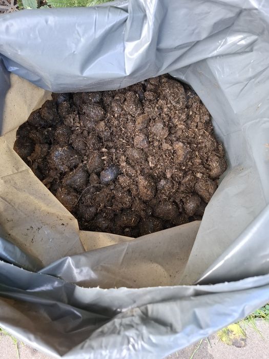 Obornik koński bez słomy