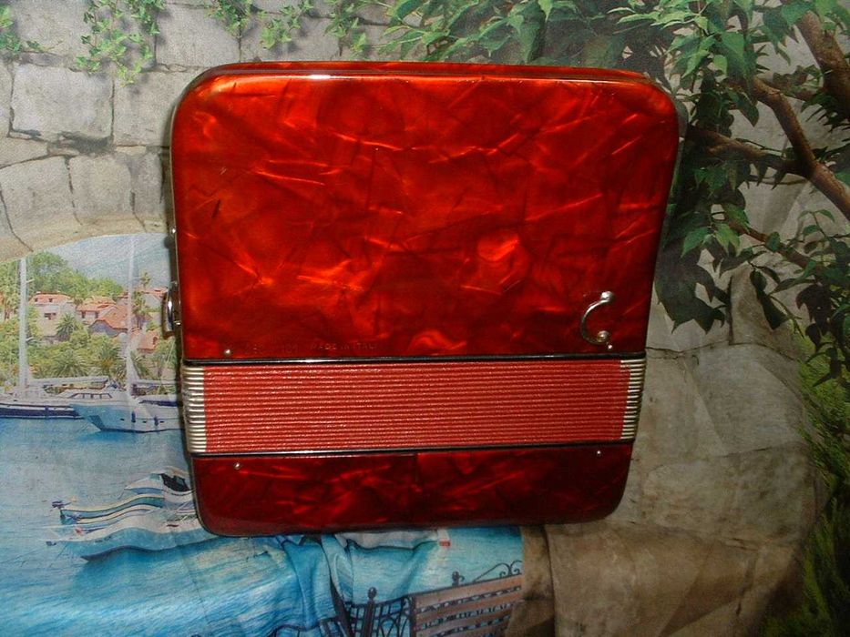 Concertinas a venda N.817 Penedono • OLX Portugal