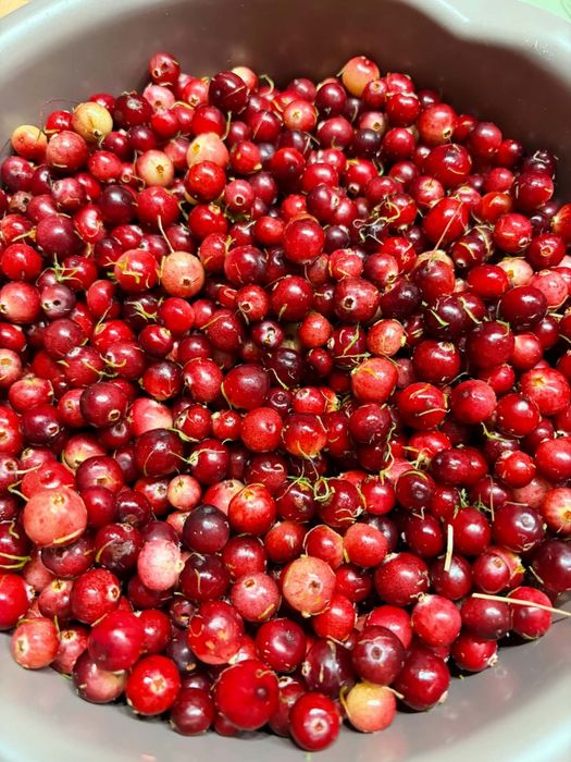 Żurawina 35zł/1kg