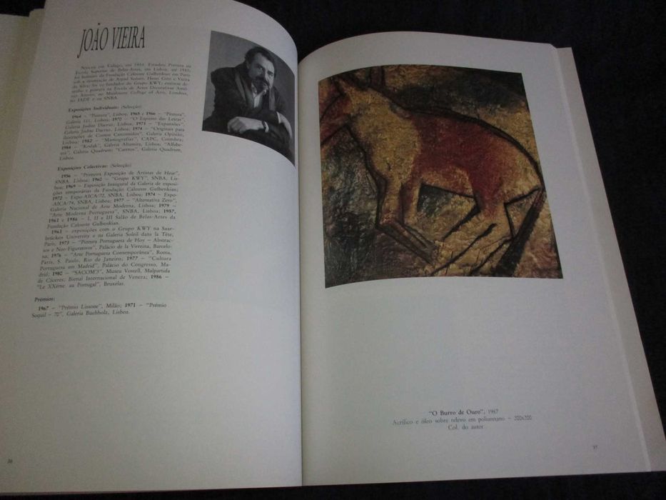 Livro Pintura Portuguesa 1988 Centro Nacional de Cultura
