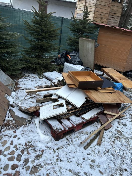 Oddam za darmo drzewo