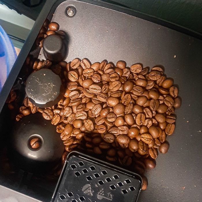 Кава в зернах БЕЗ КОФЕЇНУ 100 % Арабіка 1 кг. Декофеїнована кава СВІЖА