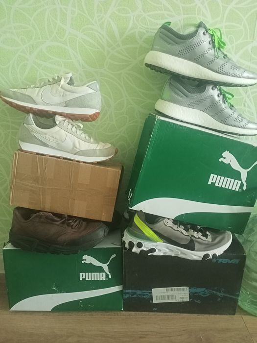 Кросівки на будь-який смак Adidas haven