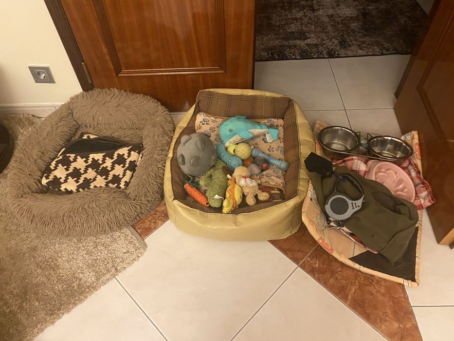 Vendo 2 camas todos os brinquedos 2 trelas mantinhas tigelas da comida, tudo usado, 20€ tudo