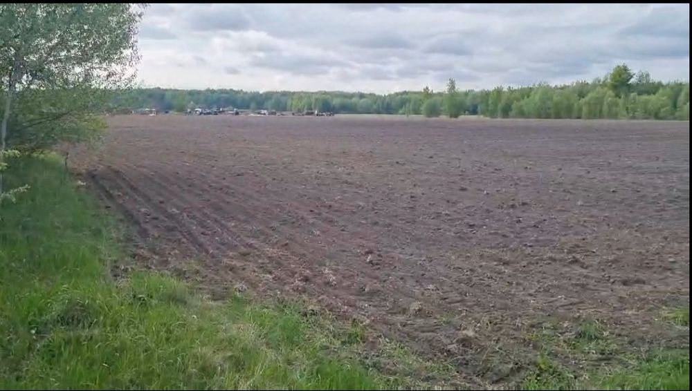 Продам 10 ГА в Жердова, Броварський рн