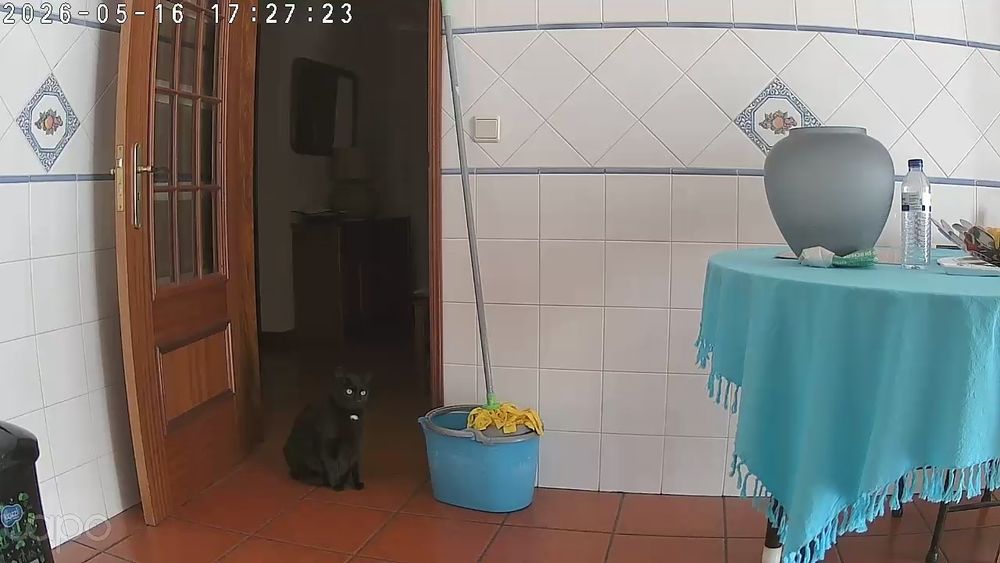 Frigorífico Combinado Boch