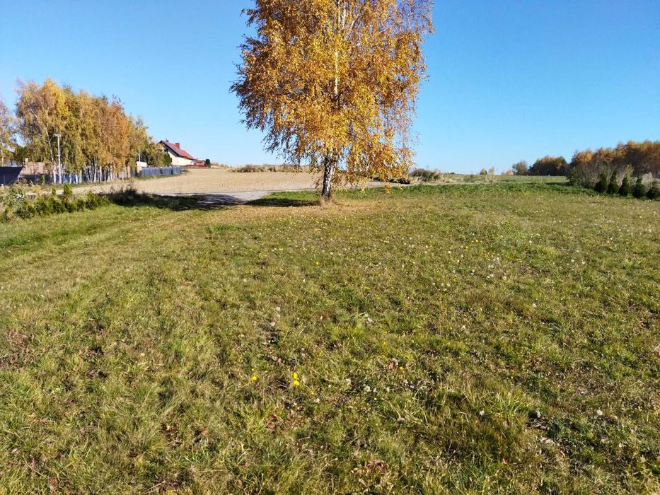 Zdjęcie 3