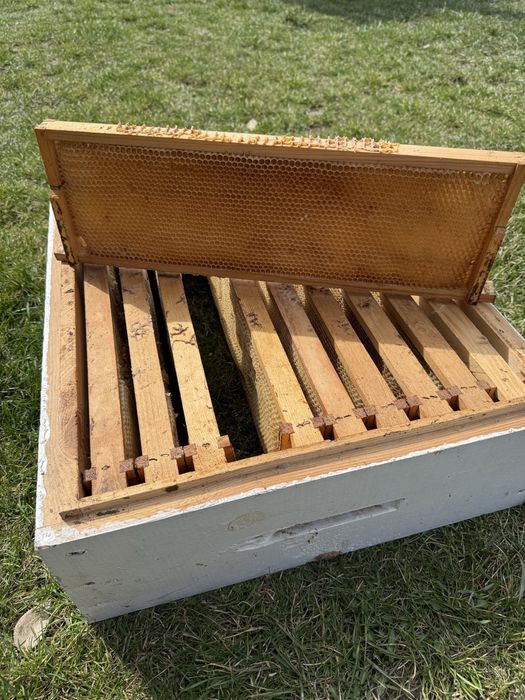 Сушь 145мм в отличном состоянии.