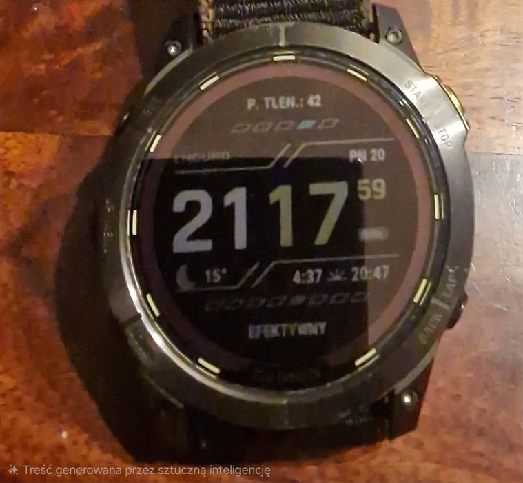 Garmin Enduro 2  Titan Solar  Sapphire