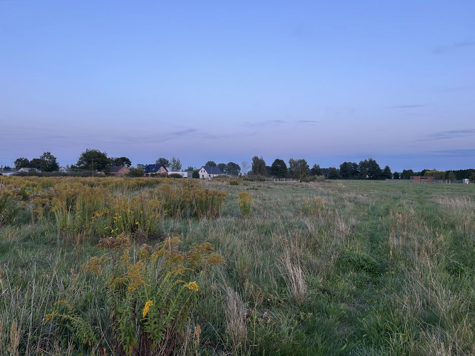 Sprzedam działki budowlane w Maszewie gm. Deszczno - Widok 4