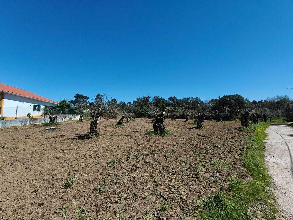 Terreno Urbano/Rústico para venda