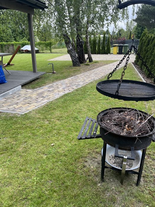 Okuninka Jezioro Białe, blisko plaży