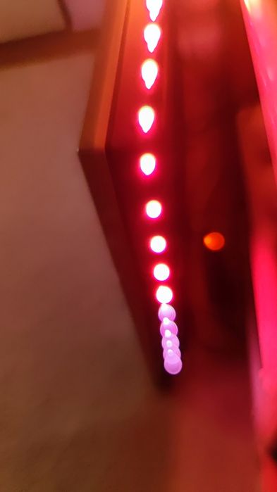 TV Philips Ambilight 55