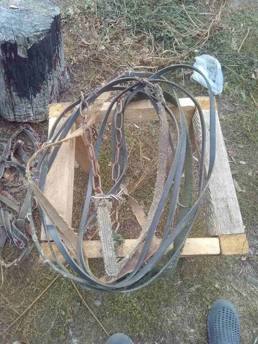 Хамут для коня , ліци . Усе комплектом