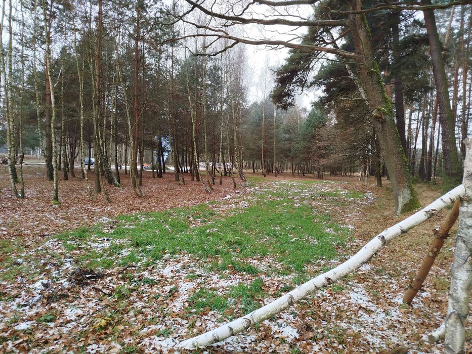 Sprzedam działkę rolno -rekreacyjna 3002m2