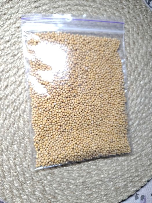 Насіння білої гірчиці ціле 50 г спеція спеції