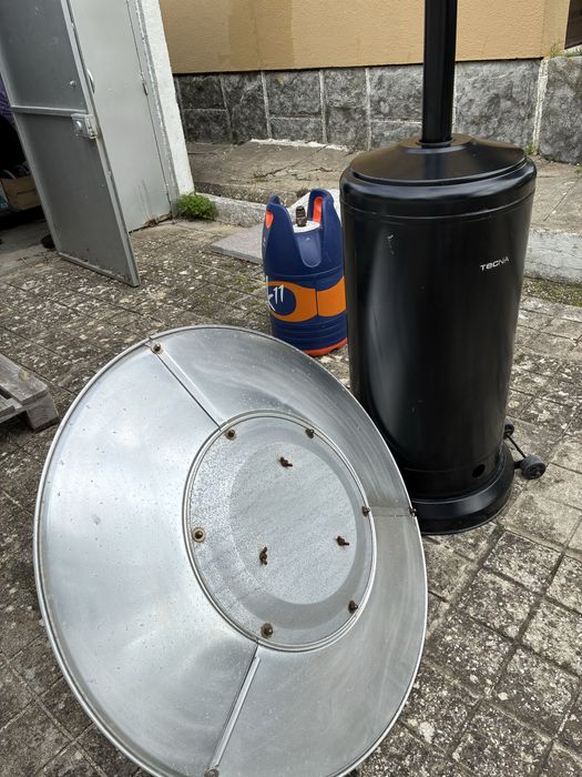 Salamandra de exterior