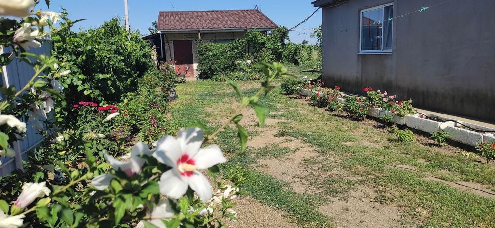 Продається автономний однокімнатний будинок. Автономна садиба - бізнес