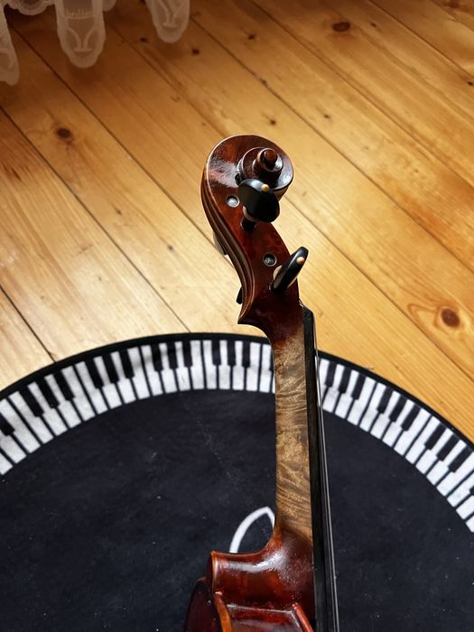 Скрипка пташине око