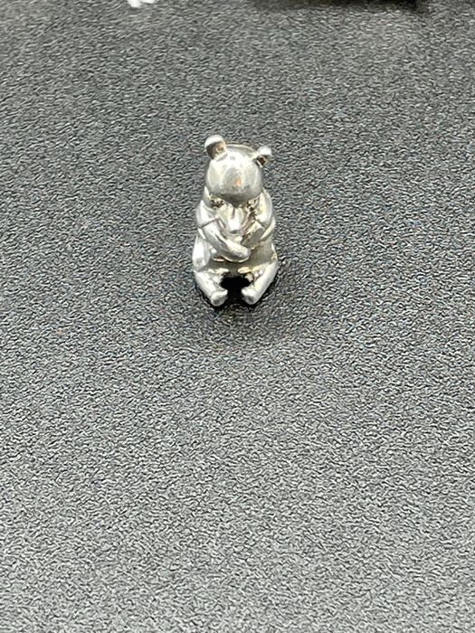 Zawieszka Charms do bransoletki