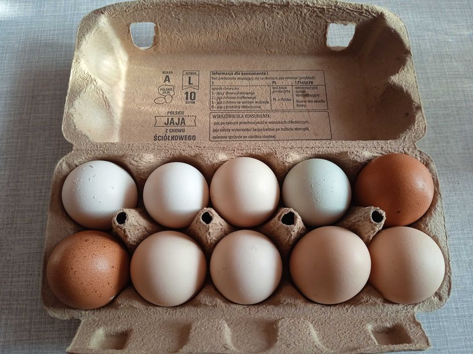 Jaja lęgowe mix ras