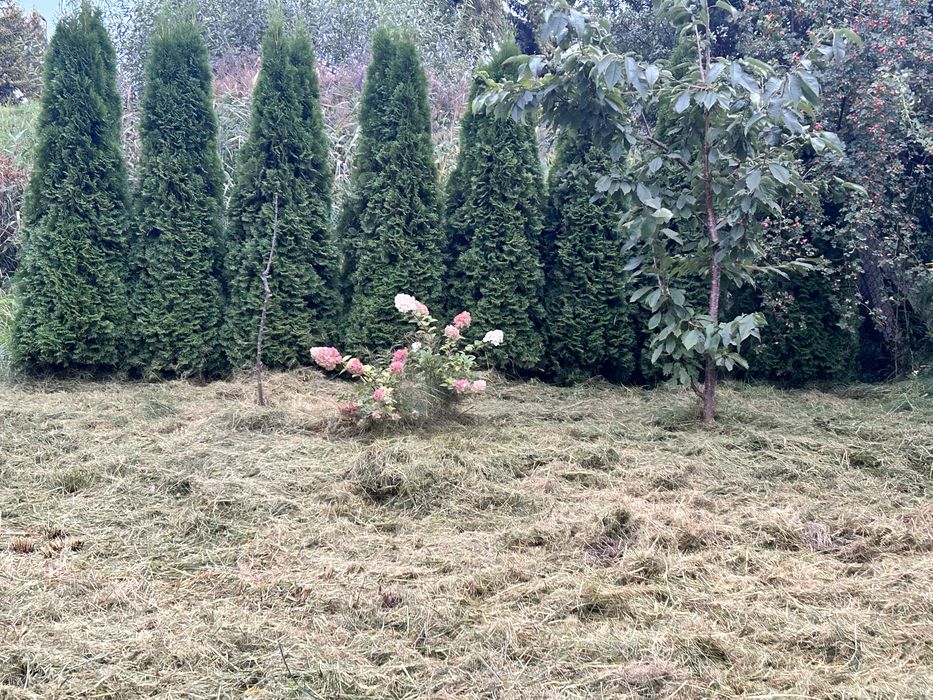 Działka Rod  na sprzedaż