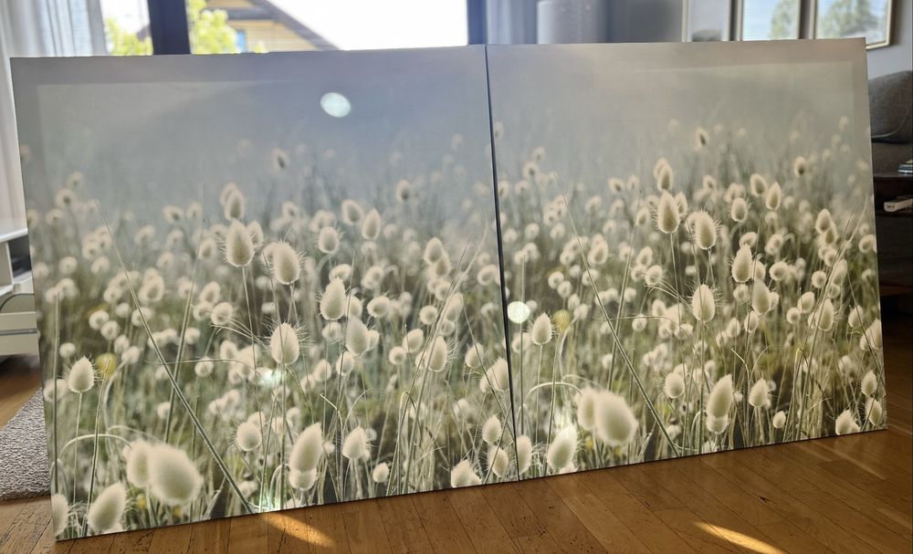 Duzy podwójny obraz puszystych traw IKEA
