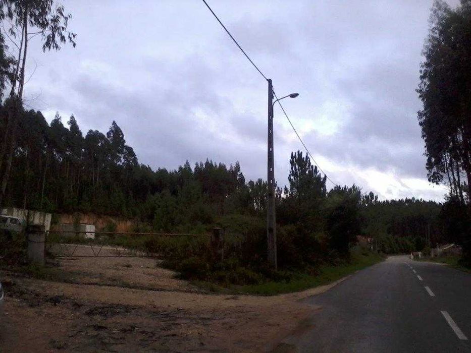 Terreno Rústico Para Construção De Moradia - Landal / Caldas Da Rainha