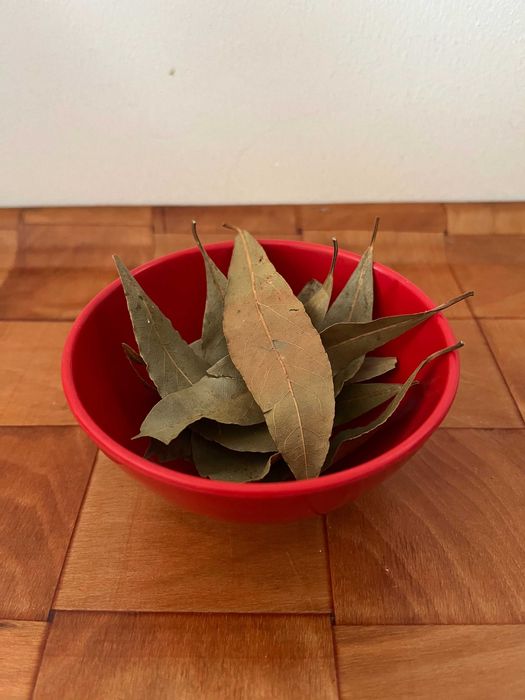 Folha de louro e mudas