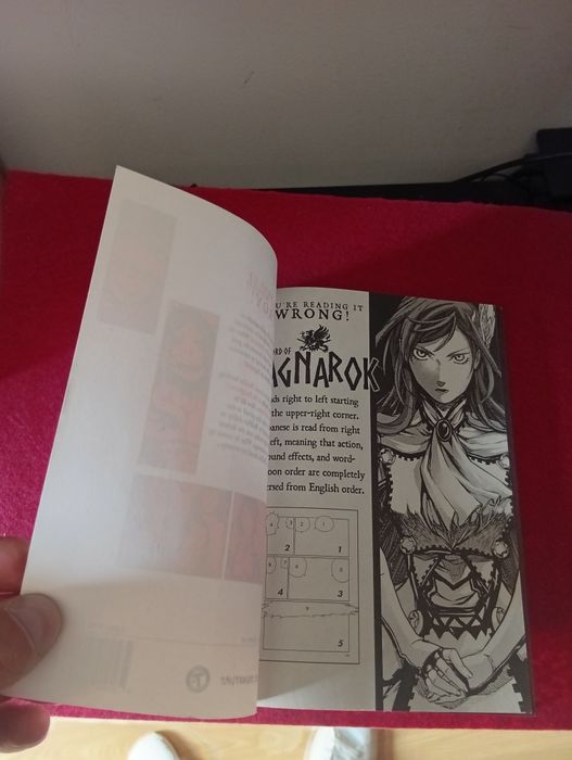 Livro manga Record of ragnarok
